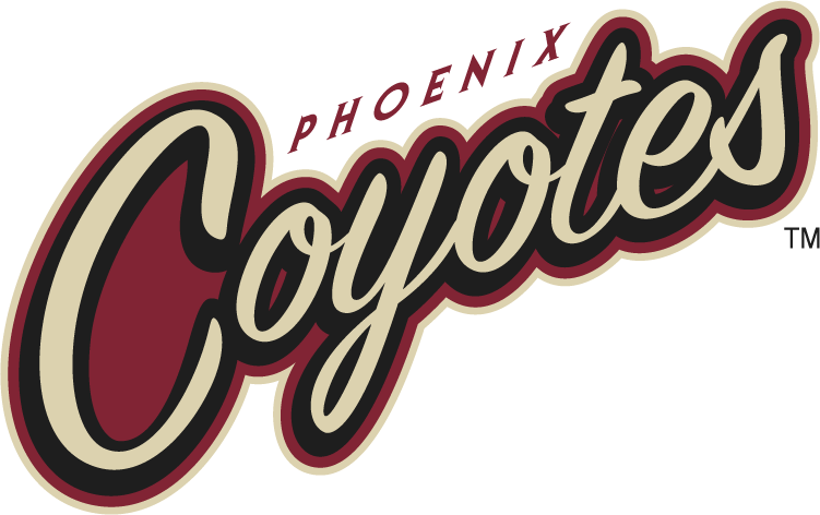 Phoenix Coyotes 2008-2014 Wordmark Logo iron on heat transfer